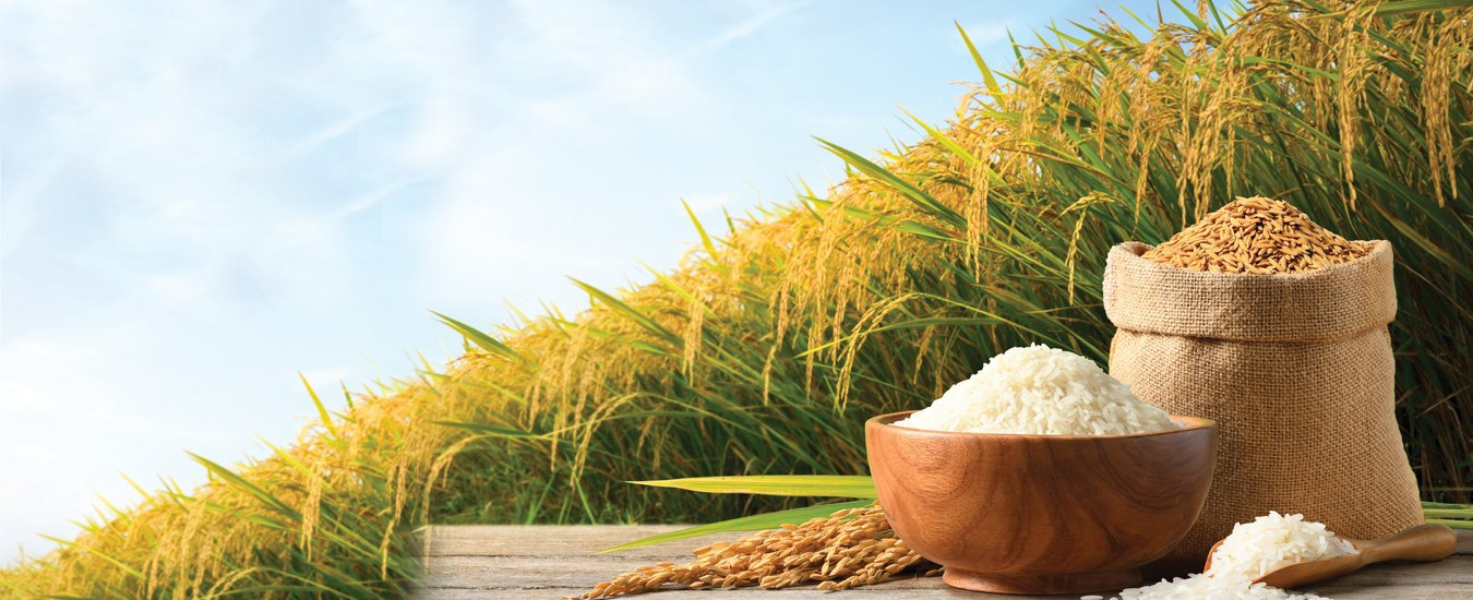 bagmati rice